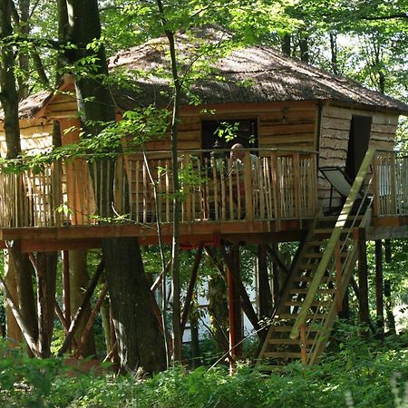 B&B La Cabane Du Bois Dormant Spa Exterior photo