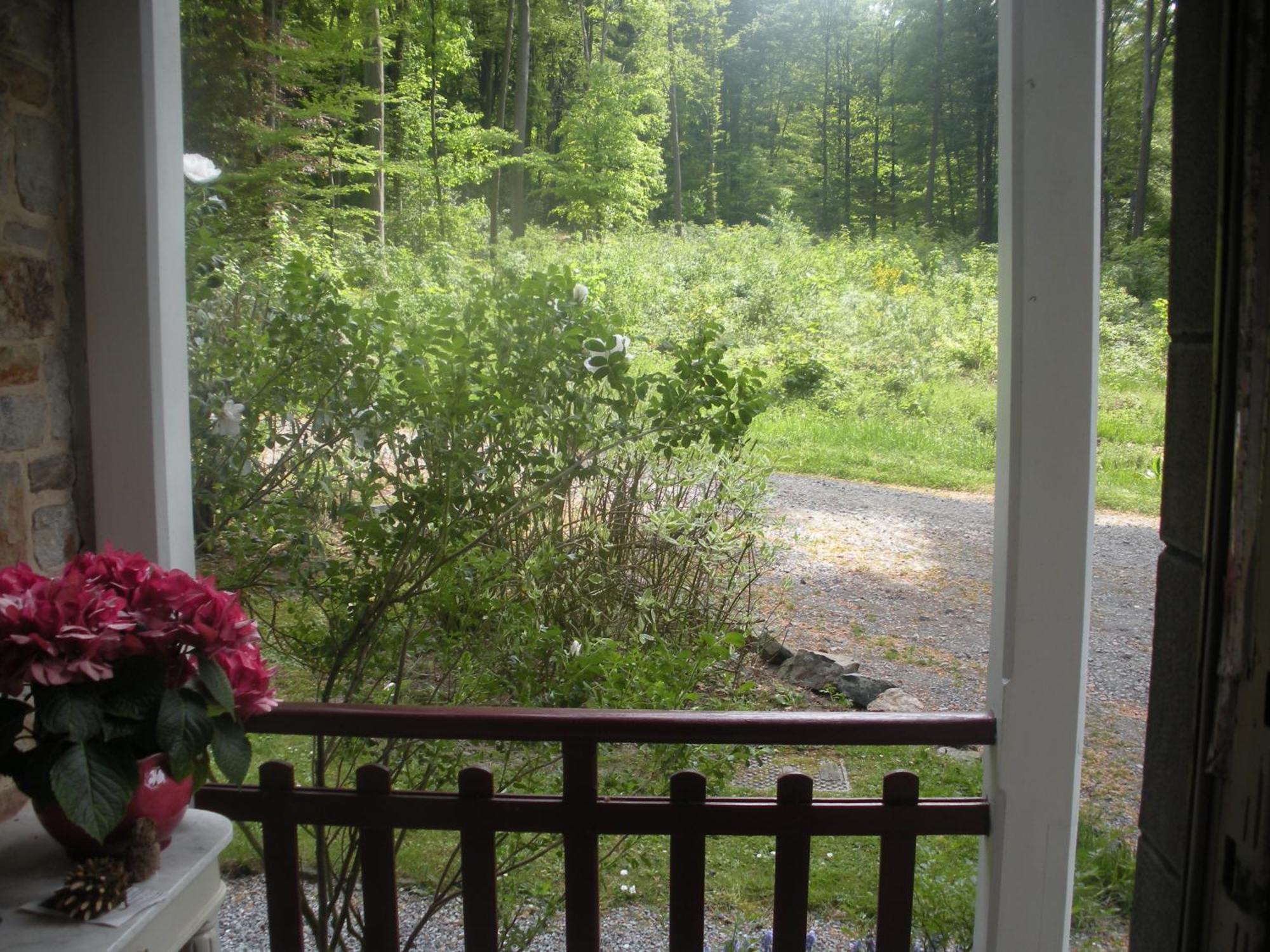 B&B La Cabane Du Bois Dormant Spa Exterior photo